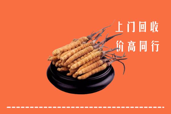 高价求购：株洲回收散虫草